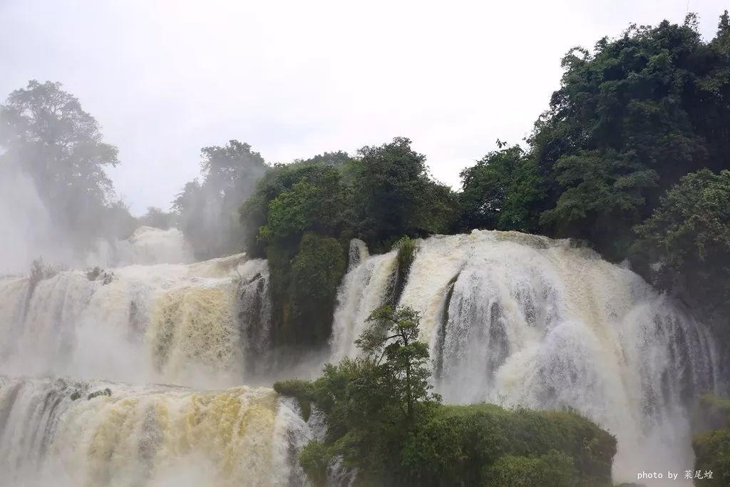 逃离水虎鱼湖